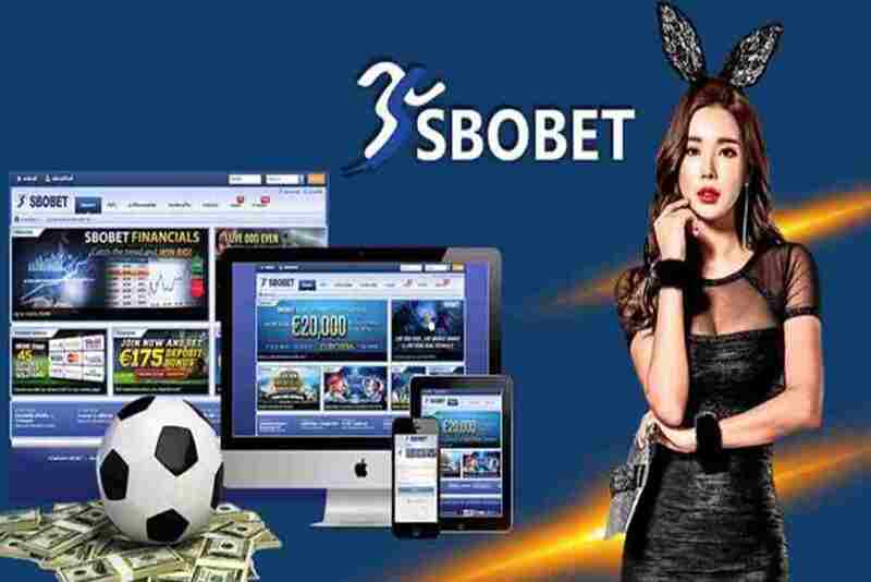 Đăng nhập tài khoản Sbobet trên website của điện thoại với 3 bước